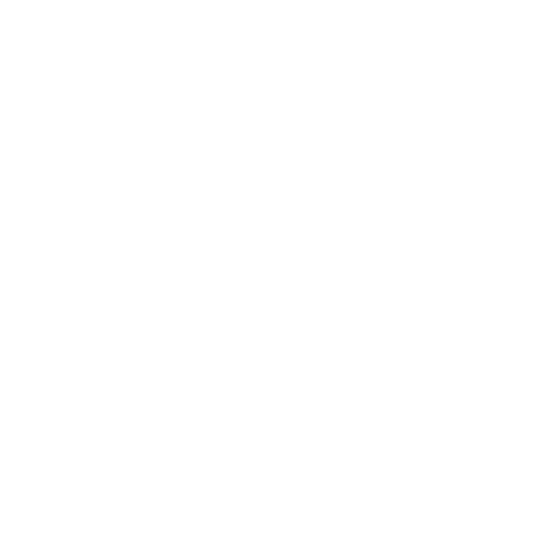 FIERY ANGEL LOGO white